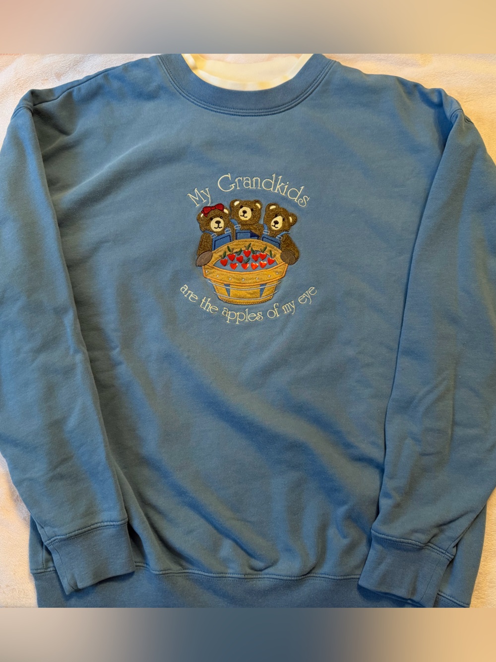 Blue Crewneck Sweatshirt with Teddy Bear Apple Embroidery